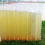 Hasil pengetesan air