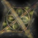 Jalan Simpang Susun Semanggi